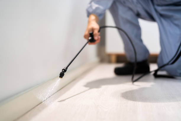 Licensed Cockroach Control service in Alum Creek, WV - Nex Pest Control